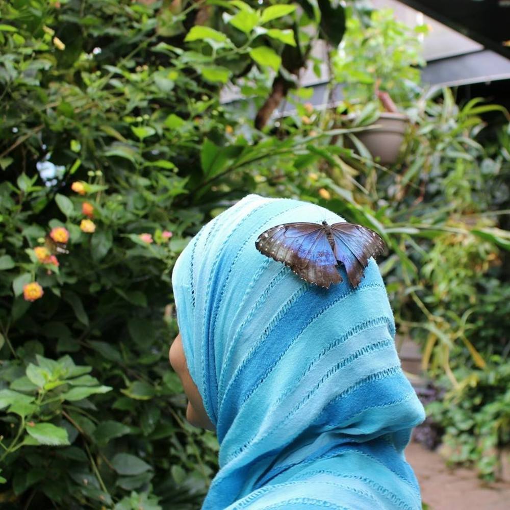 Meet your Posher, Mehvish